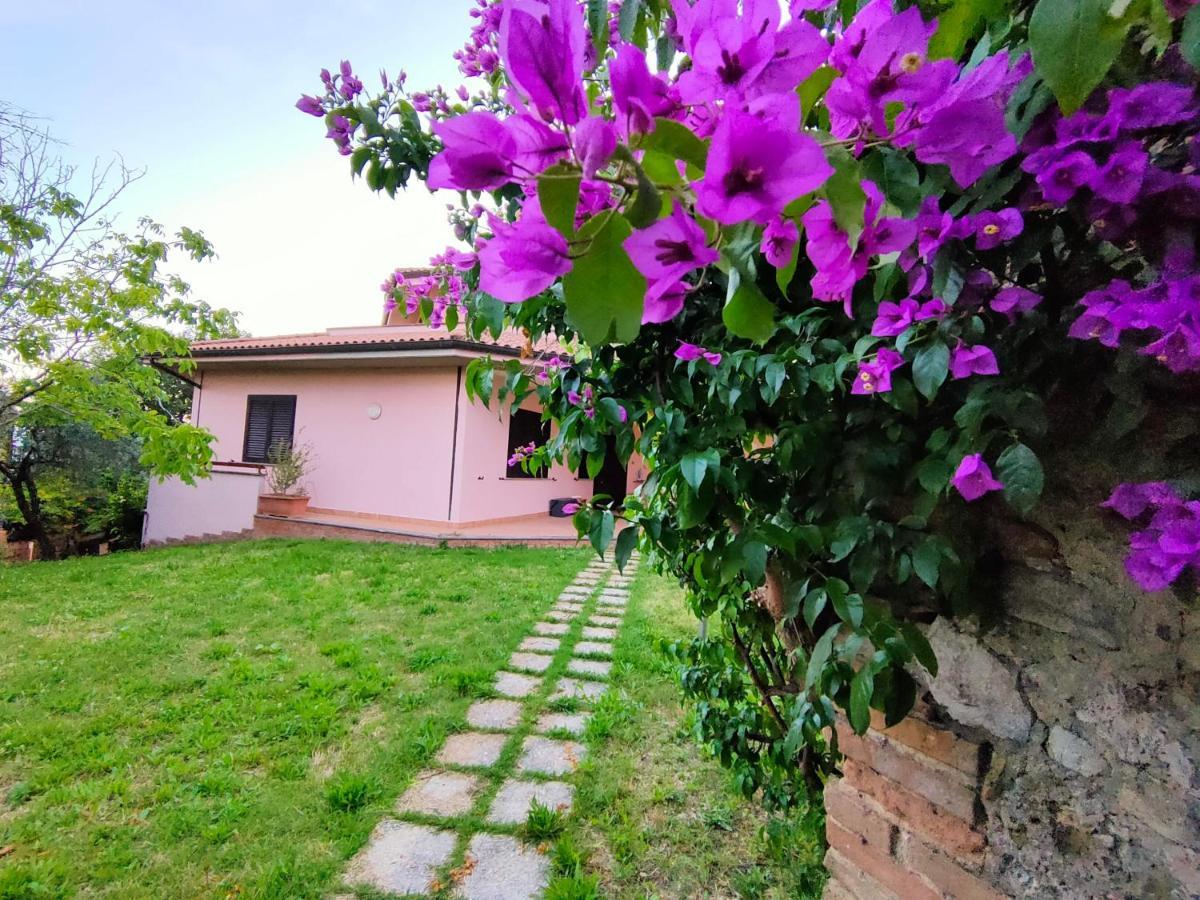Bella Vista - Belvedere Montebuono  Exterior photo